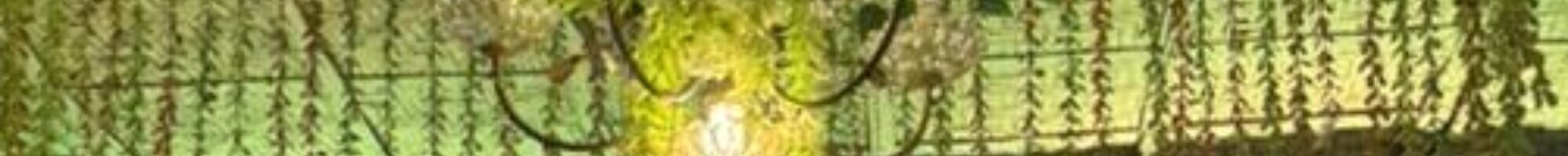 Matchless Gift Shop 01338562705